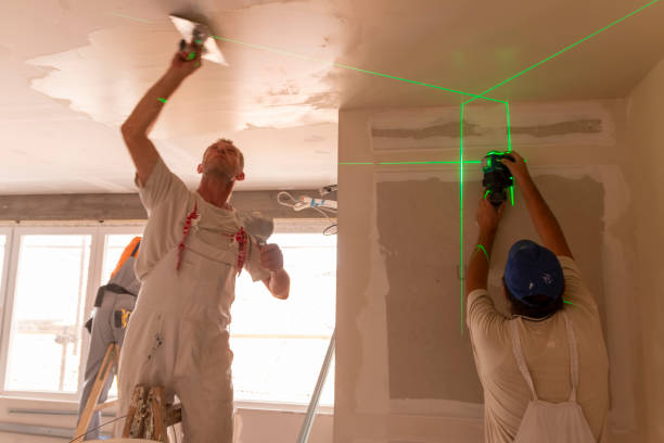  , USA Dry wall and painting Pros